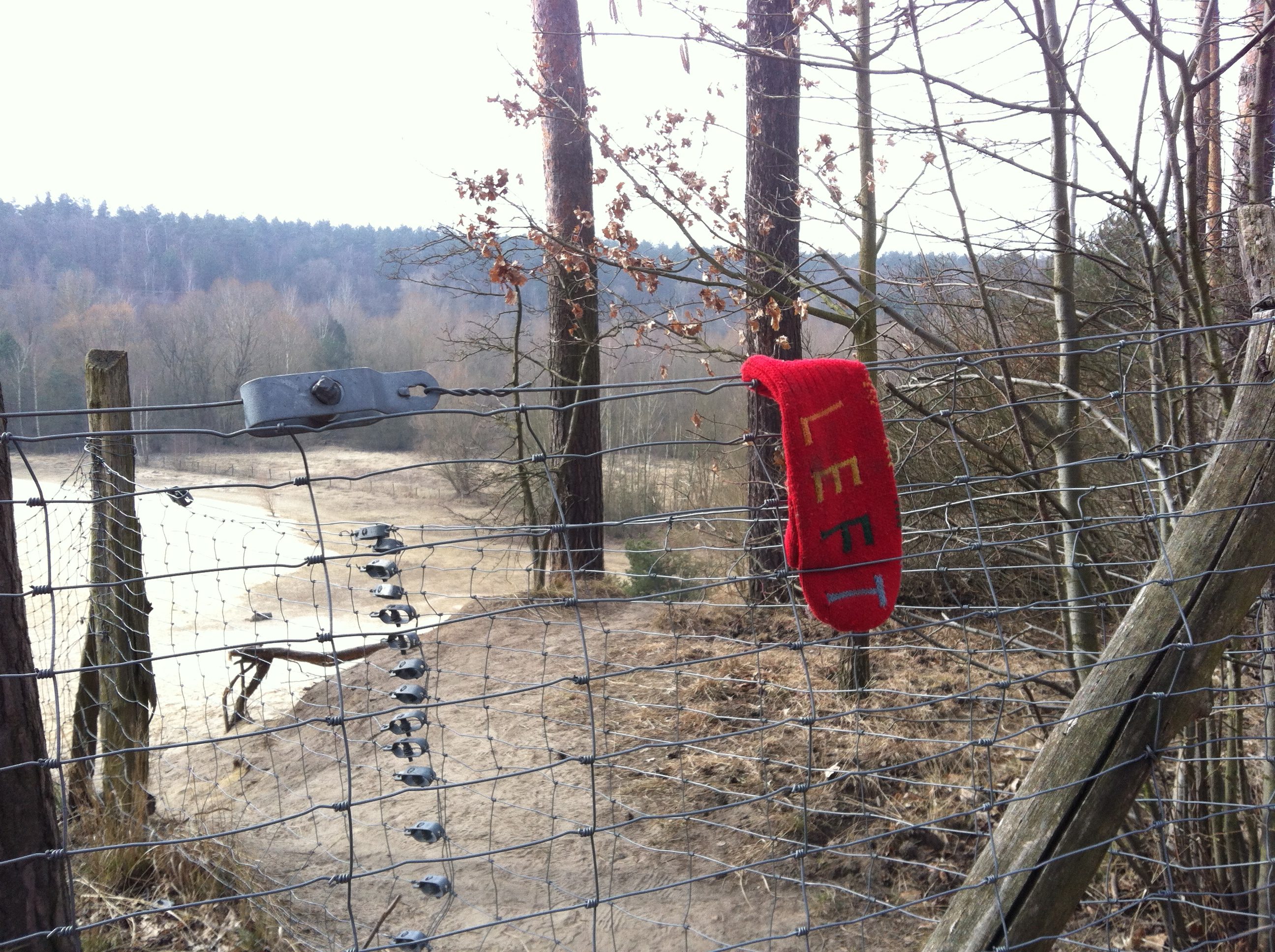 Zweite Generation politisch Verfolgter in der SBZ/DDR Alexandra Pohlmeier